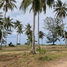  Land for sale in Sichon Nakhon Si Thammarat, Sao Phao