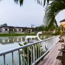 Nong Phlap