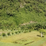  Land for sale in Sichon Nakhon Si Thammarat, Sao Phao