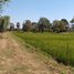  Land for sale in Kantharawichai Maha Sarakham, Khwao Yai