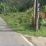  Land for sale in Thalang Phuket, Thep Krasattri, Thalang, Phuket