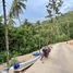  Land for sale in Koh Samui Surat Thani, Maenam