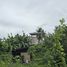  Land for sale in Hua Hin Prachuap Khiri Khan, Thap Tai, Hua Hin
