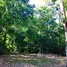  Land for sale in Osa Puntarenas, Osa, Puntarenas