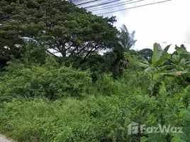  Land for sale in Pran Buri Prachuap Khiri Khan, Pran Buri, Pran Buri
