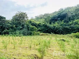  Terreno (Parcela) en venta en Nong Kae, Hua Hin, Nong Kae