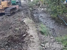  Grundstück zu verkaufen in Mueang Samut Songkhram, Samut Songkhram, Ban Prok, Mueang Samut Songkhram, Samut Songkhram