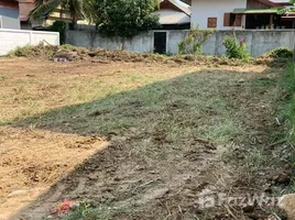 ขายที่ดิน ใน สันกำแพง เชียงใหม่, ต้นเปา