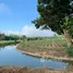  Grundstück zu verkaufen in Mae Taeng, Chiang Mai, Cho Lae, Mae Taeng