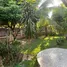 4 chambre Villa à vendre à Namphueng Village., Nong Phueng, Saraphi