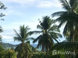 在Koh Tao, Koh Phangan出售的 土地, Koh Tao