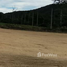 在那空沙旺出售的 土地, Ang Thong, Banphot Phisai, 那空沙旺