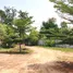 2 Schlafzimmer Haus zu verkaufen in Mueang Chaiyaphum, Chaiyaphum, Khok Sung, Mueang Chaiyaphum, Chaiyaphum